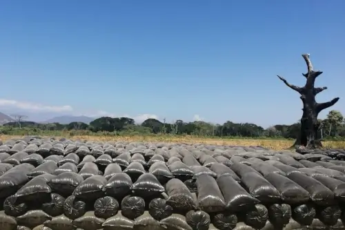 Bolsas para Silo de 50 Kilos