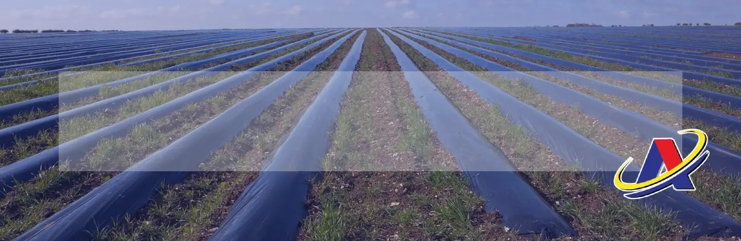 Agroplásticos La 19